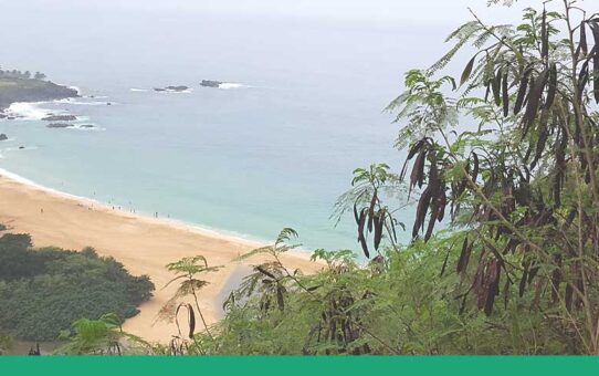 Waimea Bay