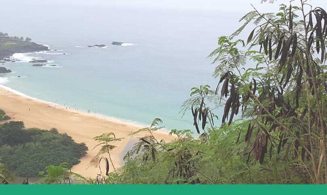 Waimea Bay